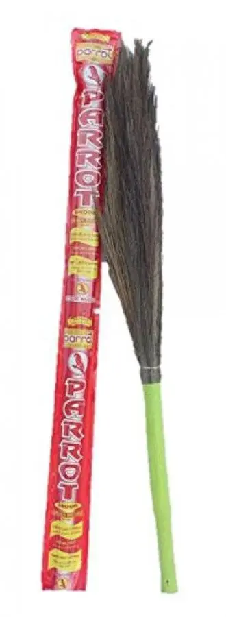Parrot Grass Broom