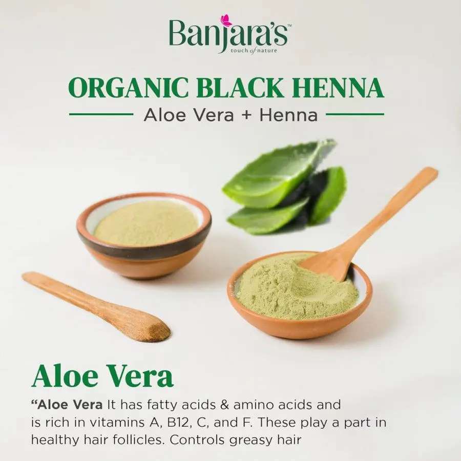 Banjara's Black Henna  Aloe Ve