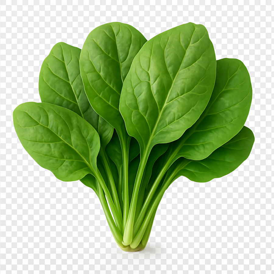 Spinach / Palak / kg