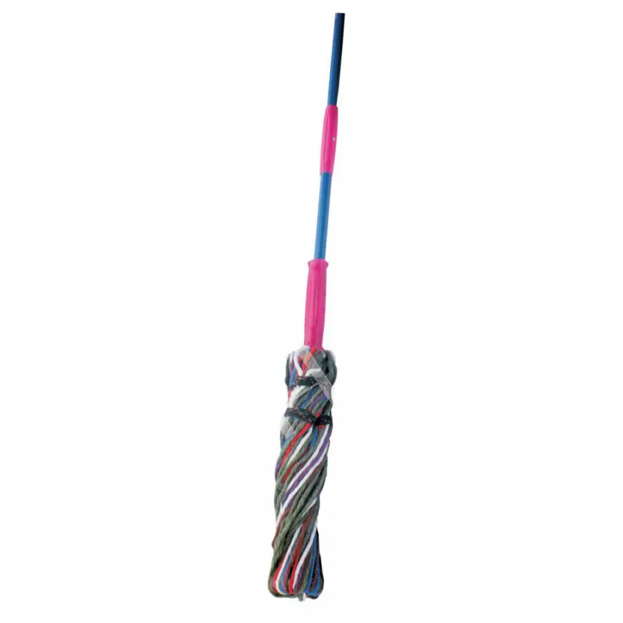 Parrot Tokyo Twist Mop