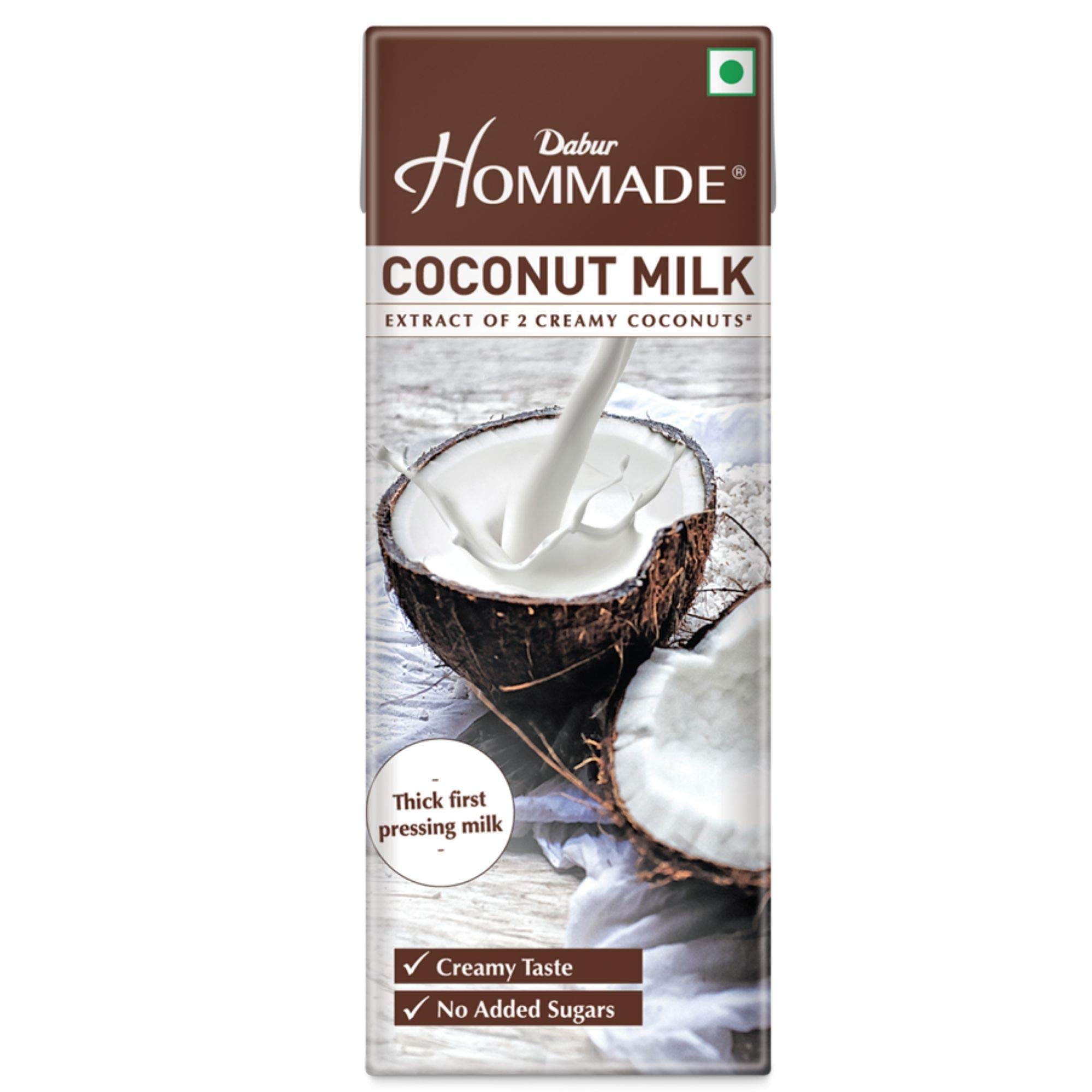 Dabur Hommade Coconut Milk  20