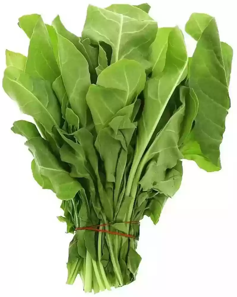 red amaranthus