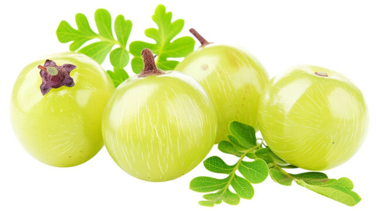 AMLA NELLIKKA