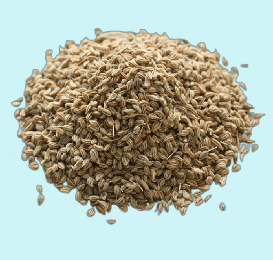 AJWAIN 20GM