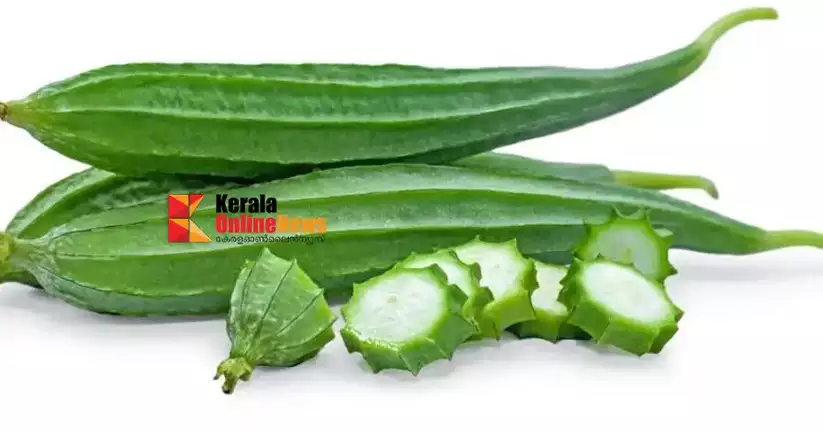 RIDGE GOURD