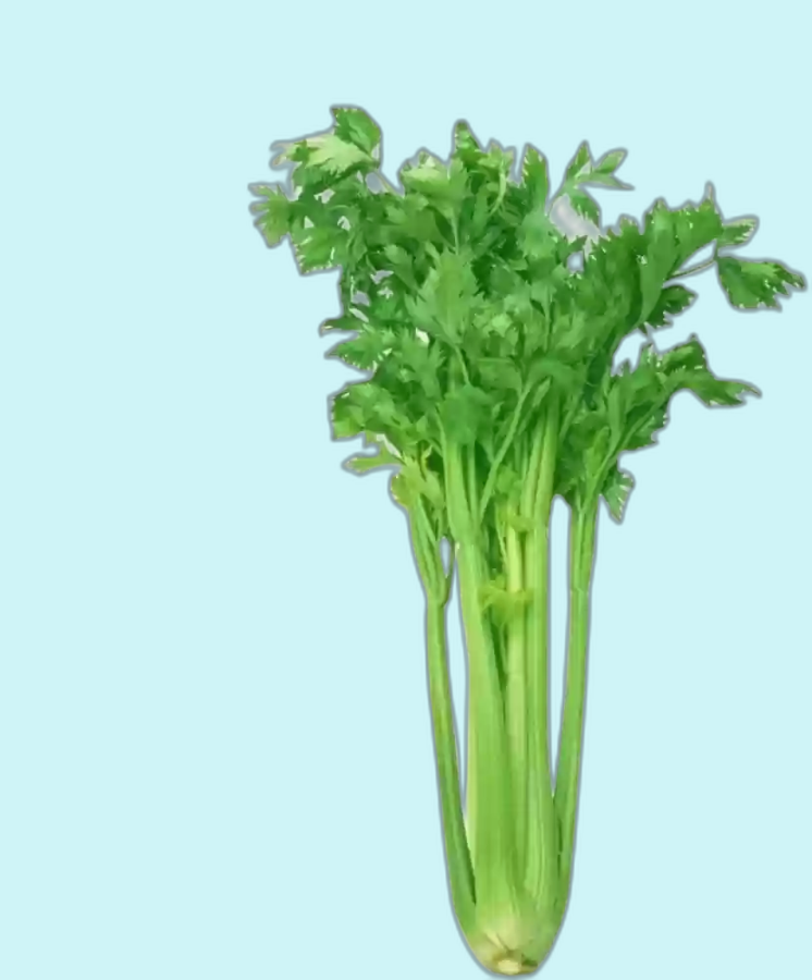 CELERY 1PC