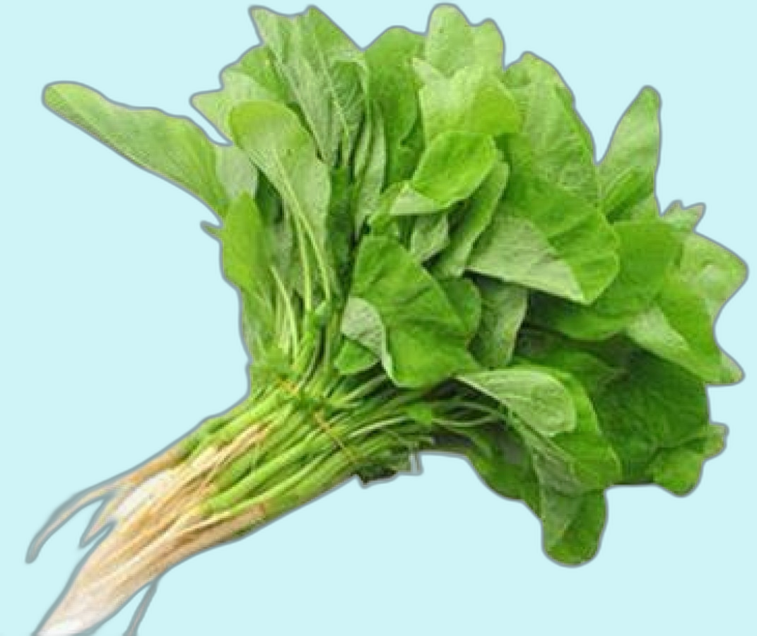 AMARANTH LEAVES RED CHEERA