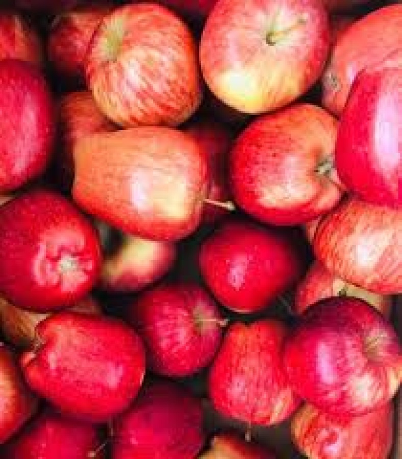 APPLE FRESH