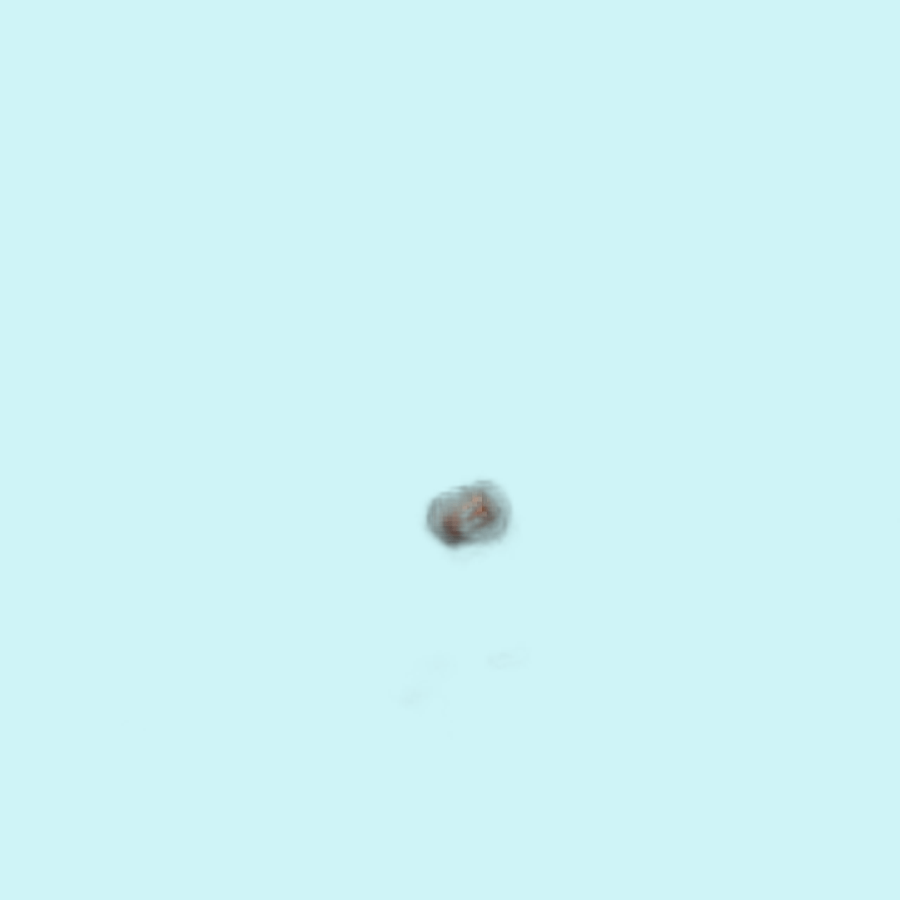BLACK URAD DAL LOOSE