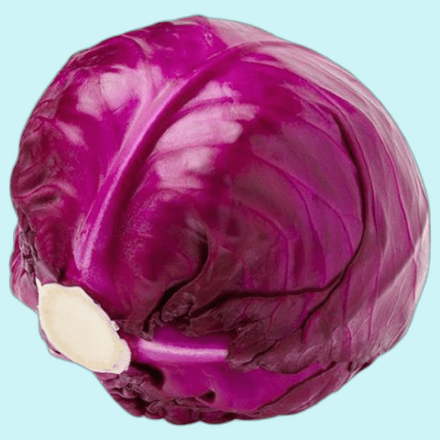 cabbage red