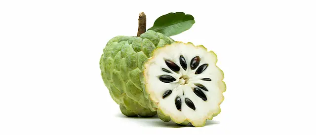 CUSTARD APPLE