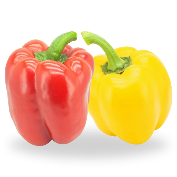 YELLOW CAPCICUM