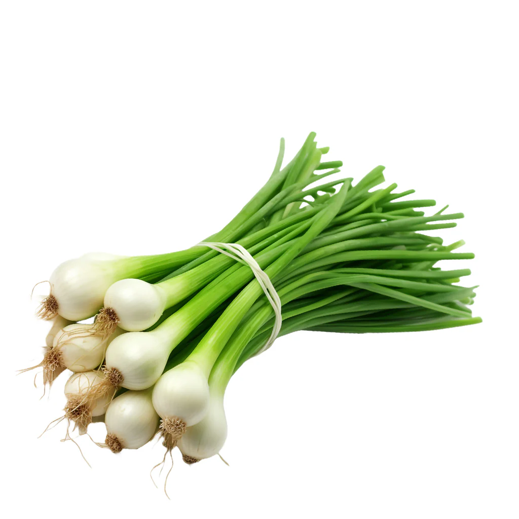 SPRING ONION 1BUNDLE