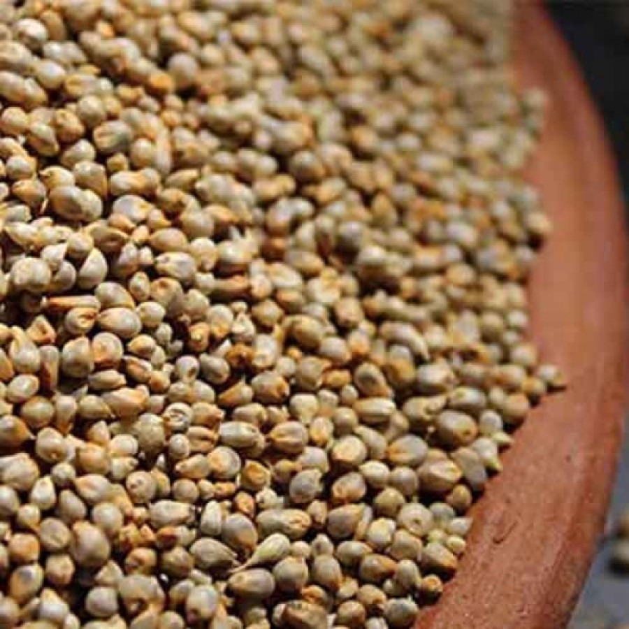 BAJRA SAJJE 1KG
