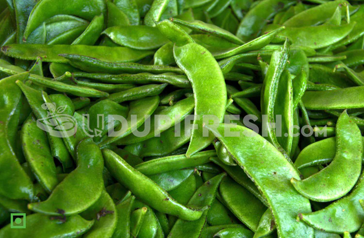 BROAD BEANS