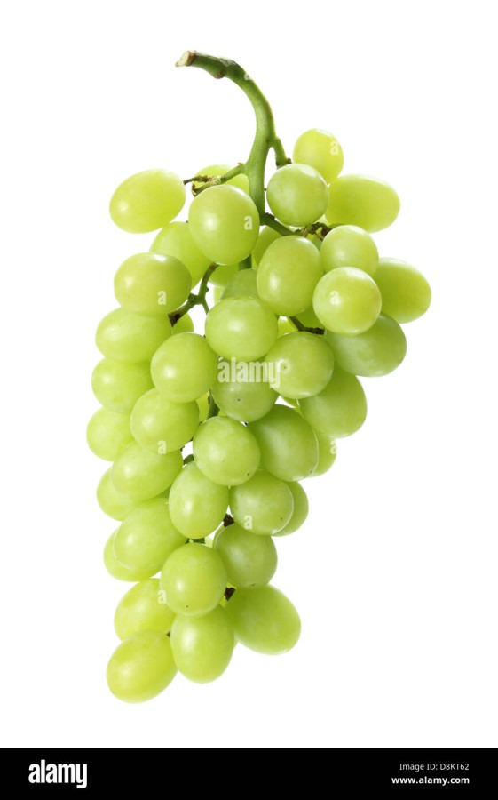 GREEN GRAPES