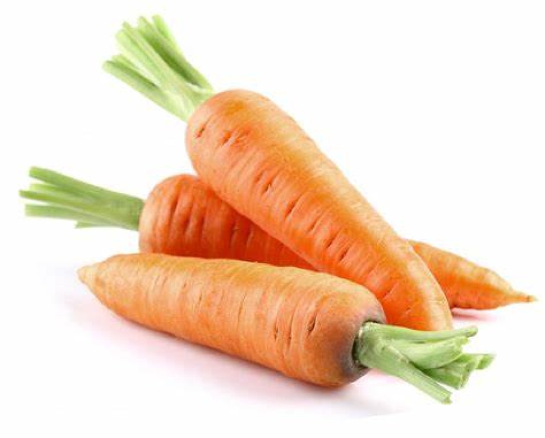 CARROT