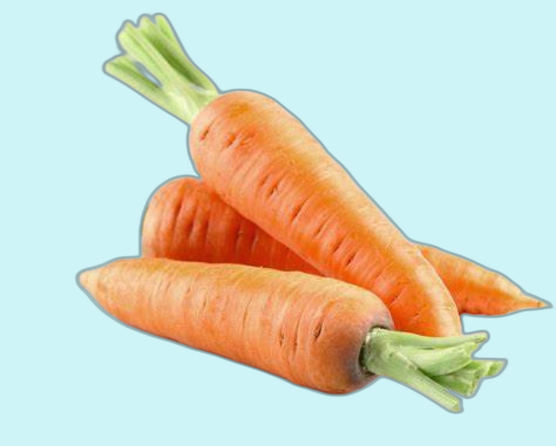 CARROT