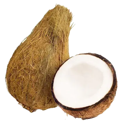 COCONUT BIG