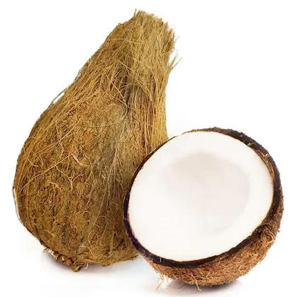 COCONUT BIG