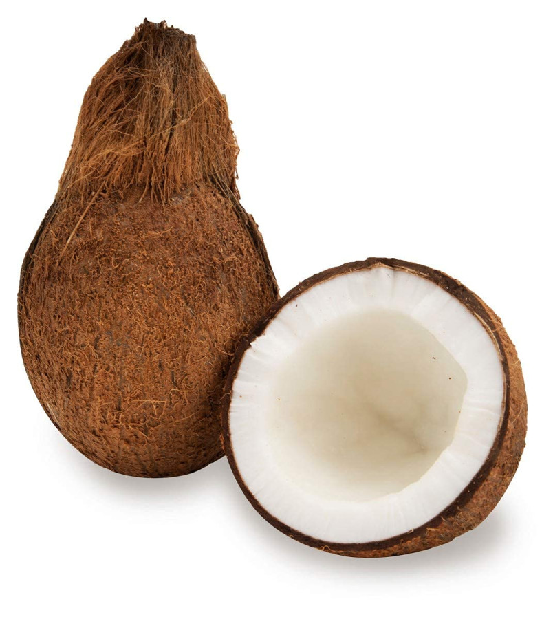 COCONUT REGULAR