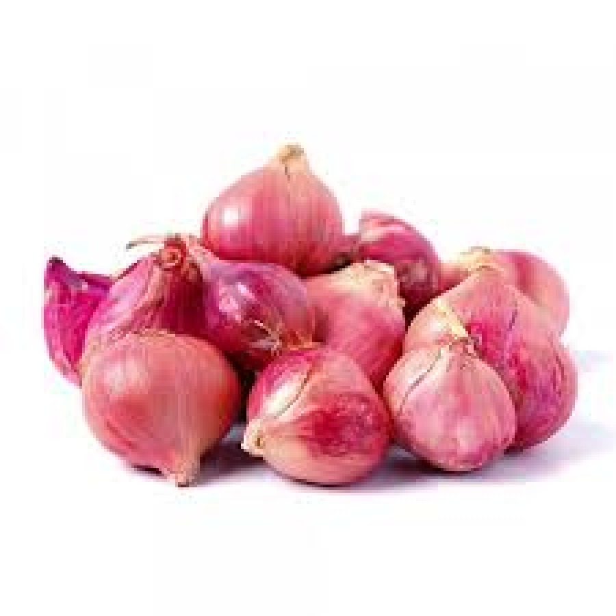 SMALL ONION