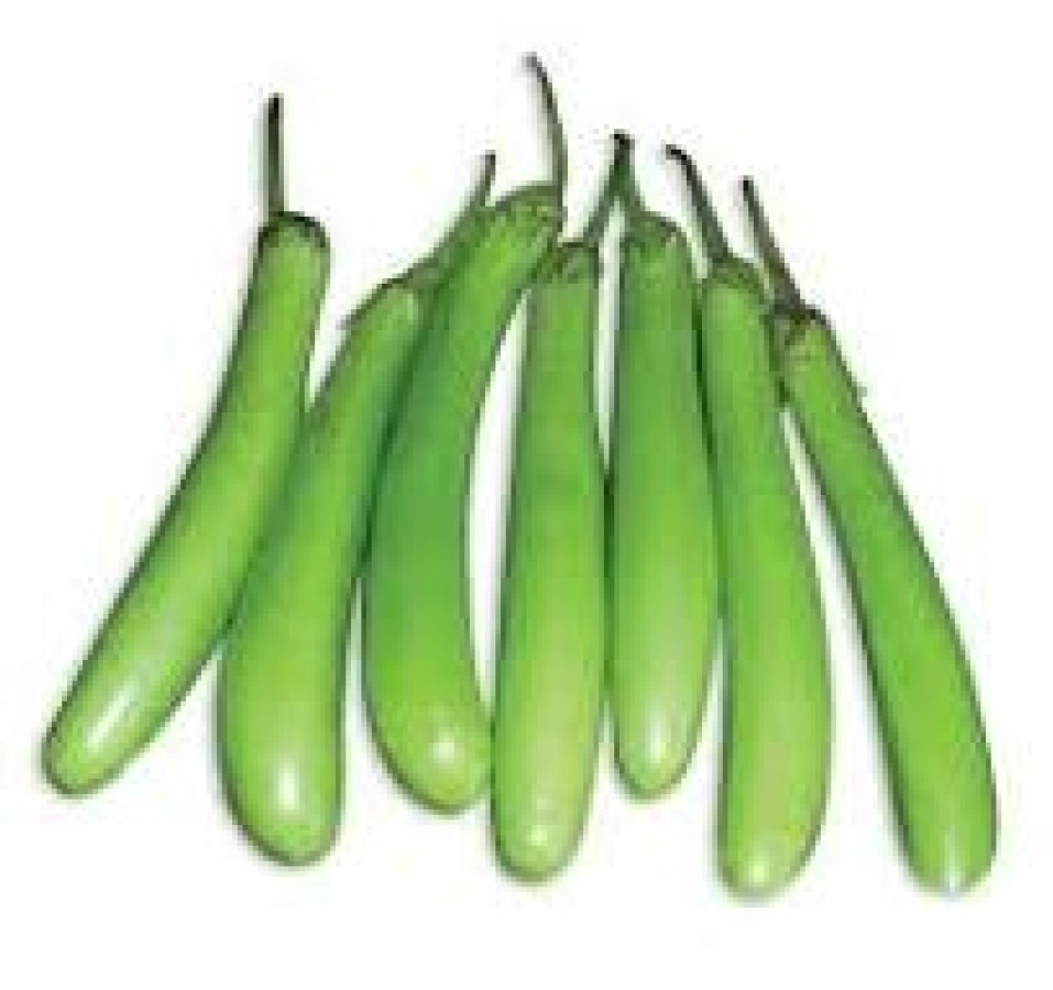 BRINJAL LONG