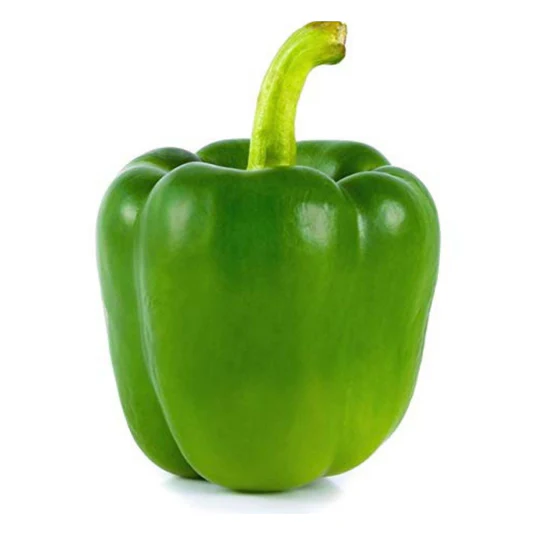 CAPSICUM 1