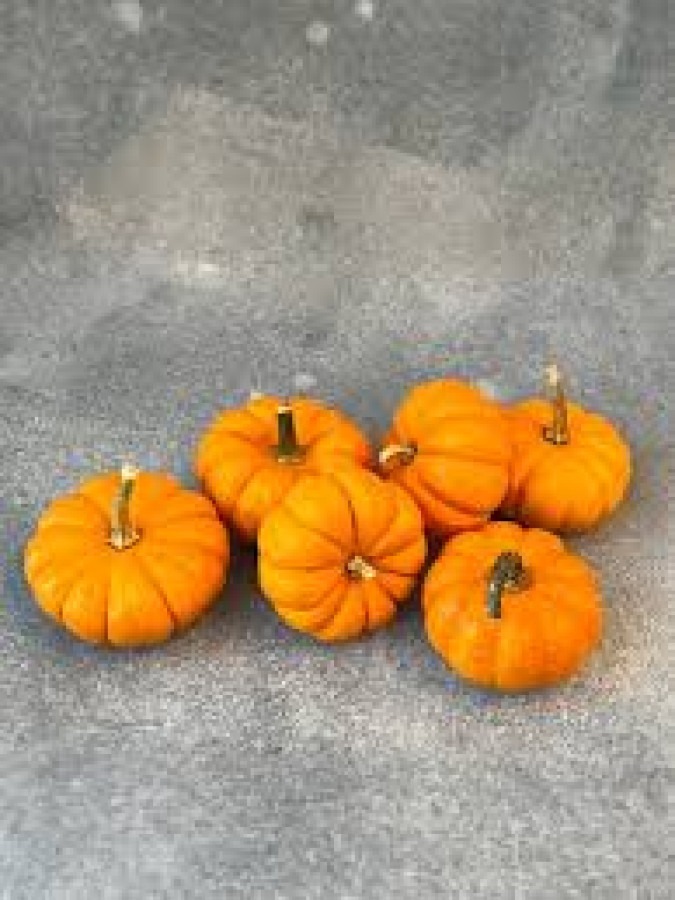 PUMKIN