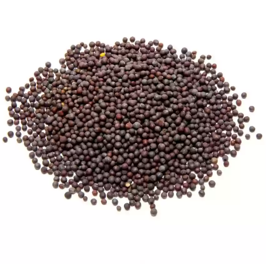 MUSTARD SEED 50G