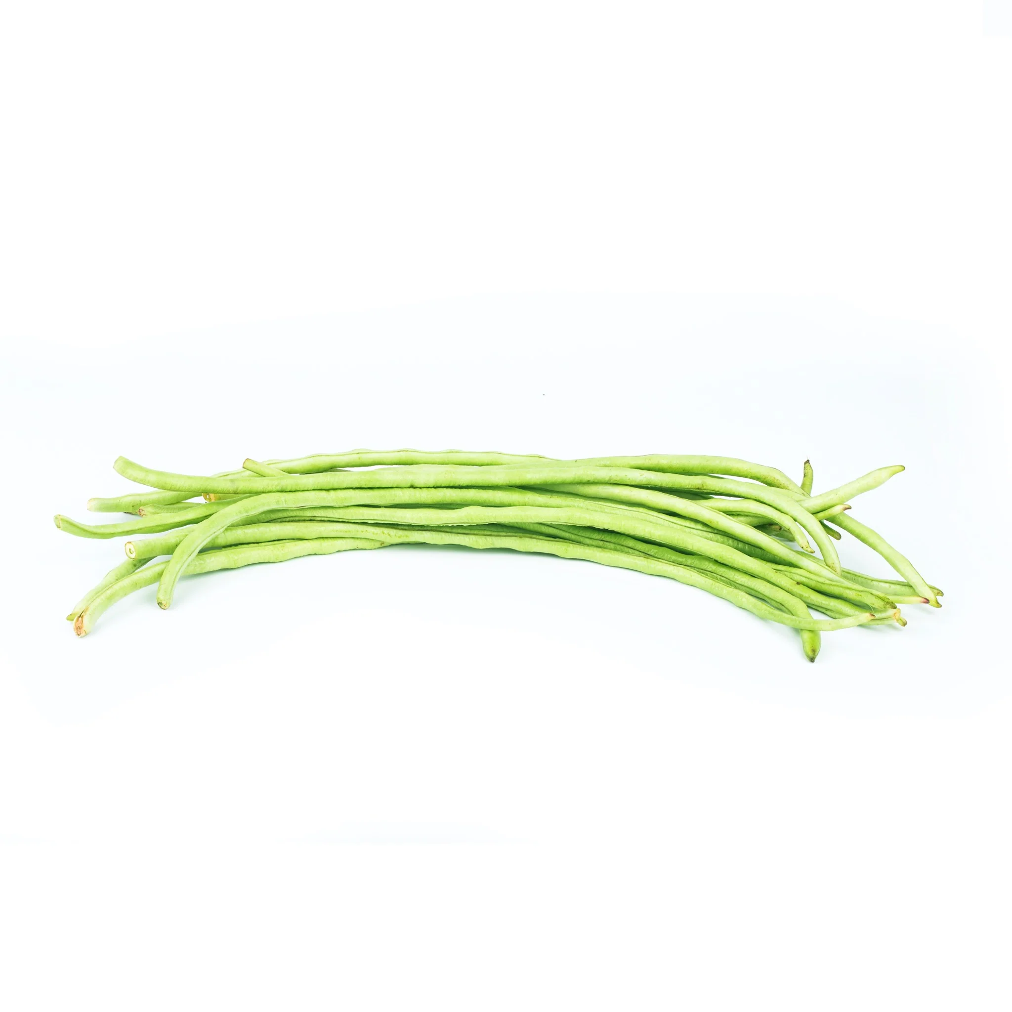 BEANS COWPEA PAYAR