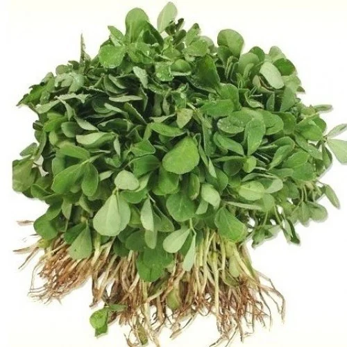 Fenugreek Leaves / Methi / kg